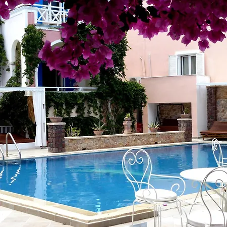 Summer Holidays 3*